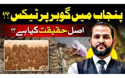 “Gobbar Tax” in Punjab: Reality, Rumors, and the Burden on Farmers